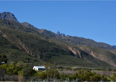 The Country Garden Mountain